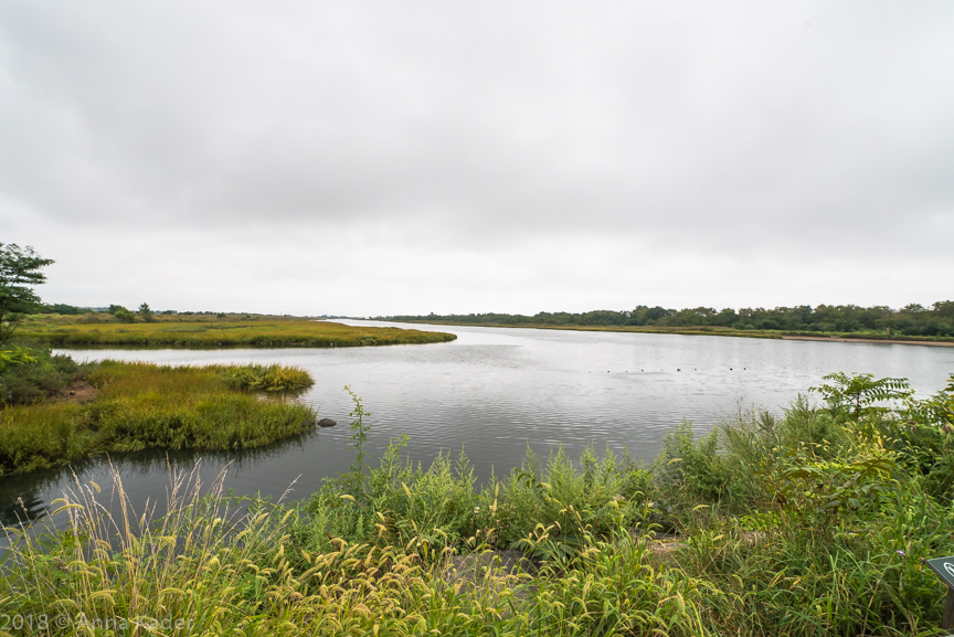 Marine Park, Brooklyn NY Salt Marsh