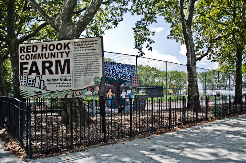 Red Hook Community Farm