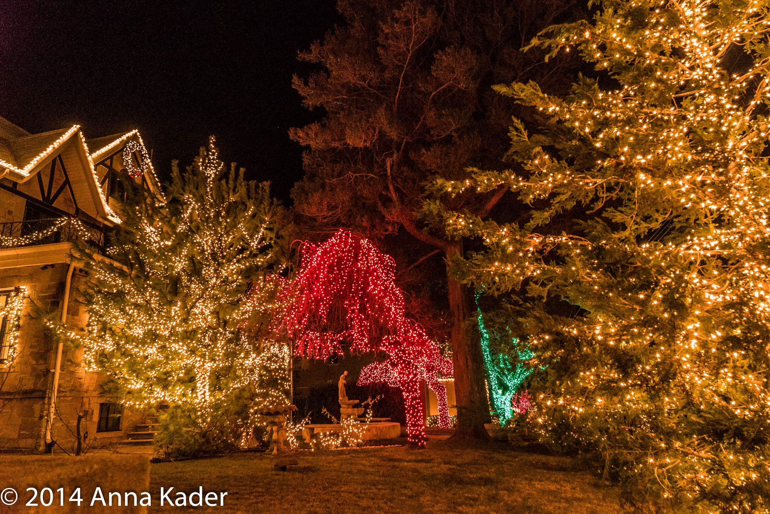 Christmas 2014, Brooklyn NY -3