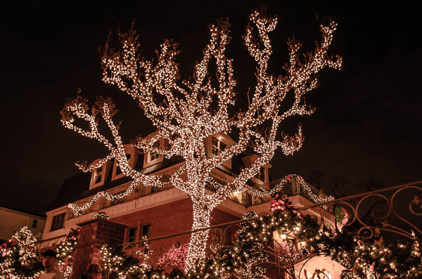 Dyker Heights, Christmass Lights