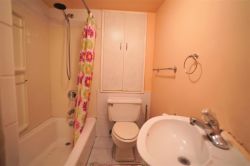 1530064858DSC01484.JPG